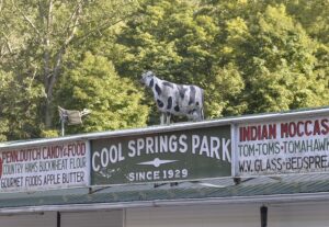 Cool Springs Park